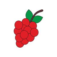 A red fruit with leaves and berries on it vector