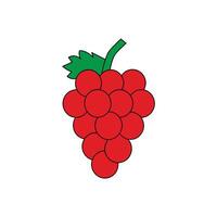 A red grape on a white background vector