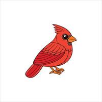 A red cardinal bird on a white background vector