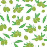 Pattern of olives. Illustration in hand drawn style. Can be used to create packaging, covers, backgrounds, cards, textiles,. Seamless endless. vector