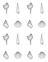 Seamless pattern of doodle sketch shell vector