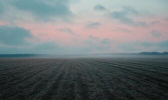 A field of grass is shown in the distance with a cloudy sky in the background photo