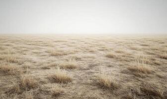 A field of dry grass with a cloudy sky in the background photo