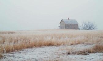 A small, old house sits in a field of snow photo