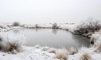 A snowy landscape with a frozen pond photo