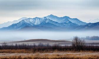 A foggy mountain range with a tree in the foreground photo