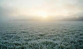 A field of grass covered in frost and snow photo