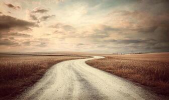 A road with a curve in the middle of a field photo