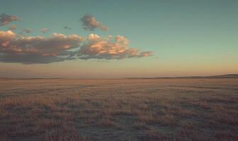 A large, empty field with a cloudy sky in the background photo