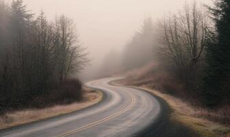 A road with trees on either side and a foggy atmosphere photo