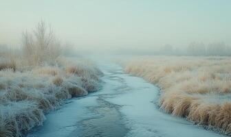 A frozen river with a tree in the background photo