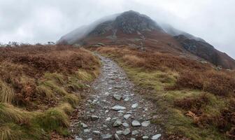 A rocky path winds its way up a hill photo