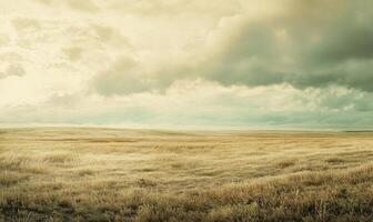 A field of grass with a cloudy sky in the background photo