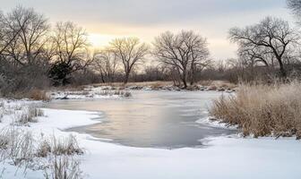 A frozen lake with trees in the background photo