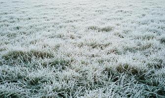 A field covered in snow and ice photo
