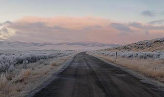 A road in the middle of a desert with a cloudy sky in the background photo