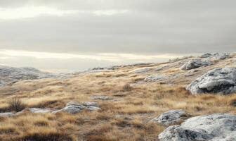 A desolate, rocky field with a cloudy sky in the background photo