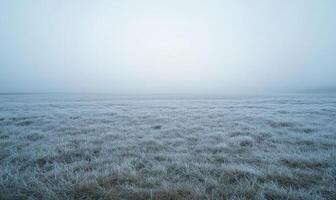 A field of snow covered grass with a foggy sky in the background photo