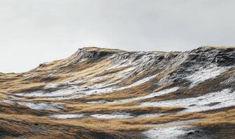 A mountain with snow on it and a hillside with a few trees photo