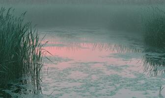 A pond with a pink reflection of the sky photo