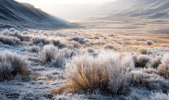 A snowy field with a few bushes and a mountain in the background photo