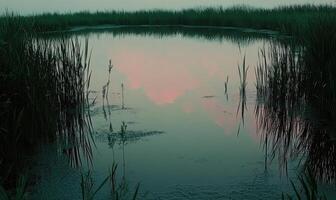 A pond with a reflection of a pink cloud in the water photo