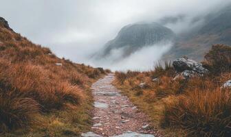 A path winds through a grassy field with a mountain in the background photo