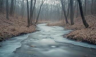 A frozen river with trees in the background photo