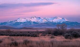 A mountain range is visible in the distance with a beautiful pink and purple sky photo