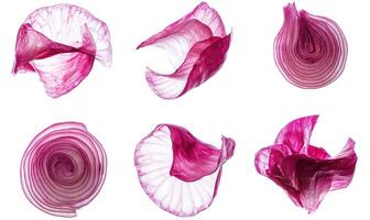 A series of close-up shots of onion slices, each with a different shape and size photo