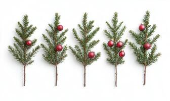 A row of Christmas trees with red balls hanging from their branches photo