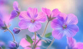A close up of a bunch of pink flowers photo