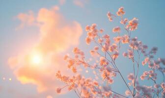 A tree with pink flowers is in front of a blue sky photo