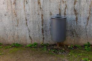 A gray trash can stands against a textured wall, with green plants growing at its base photo