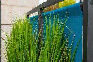 Green grass grows next to a blue fence photo