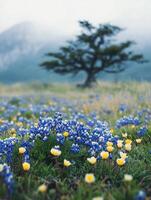 Blue and yellow flowers in a field with a tree photo