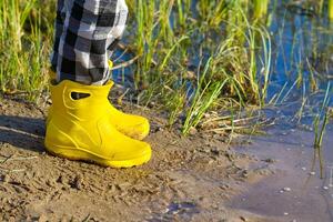A person is standing in shallow water, wearing bright yellow rubber boots. The water is clear, revealing the sandy bottom and occasional patches of grass, creating a picturesque beach scene. photo