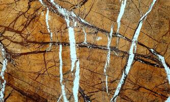 Peeling Grunge Wall Texture.Patched and Deteriorating Wall.Rusty and Dilapidated Wall Surface.Chipped and Peeling Plaster Texture.Cracked and Textured Cement Wall.Rough and Flaking Mortar Texture. photo