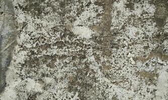 Peeling Grunge Wall Texture.Patched and Deteriorating Wall.Rusty and Dilapidated Wall Surface.Chipped and Peeling Plaster Texture.Cracked and Textured Cement Wall.Rough and Flaking Mortar Texture. photo
