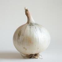 A close-up photograph of a bulbous purple onion with its root still attached, photo