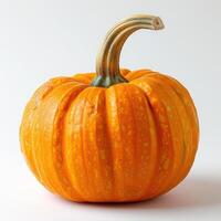 A pumpkin with a stem and leaves, sitting on its side against a white background. photo
