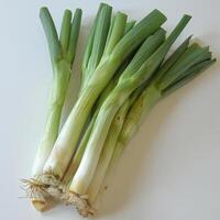 A bunch of fresh onions or leeks tied together with a string. photo