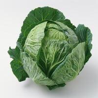 A close-up image showing a vibrant green head of cabbage, with leaves still attached. photo