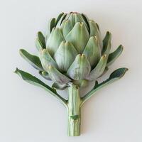 A close-up image of an agave flower with a stalk attached, sitting on a white background. photo