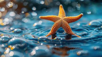 A starfish surrounded by water droplets in the rain. The starfish is close to a body of water. photo