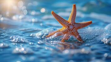 A small starfish is surrounded by ocean waves. photo