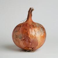 Close-up of a bulbous onion with a curved top and visible root end, resting against a white background. photo