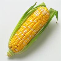 Close-up of a ripe corn on the cob, showing rows of kernels with some husks still attached. photo