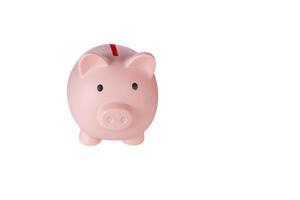 Piggy bank pig on isolated white background photo