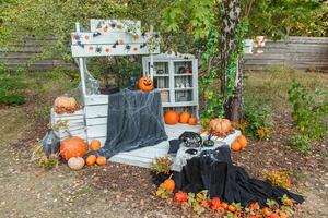 Beautiful autumn Halloween location photo